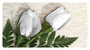 DSC700 060 2 Roses White